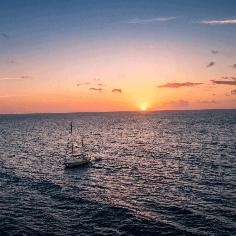 sunset cruise.png