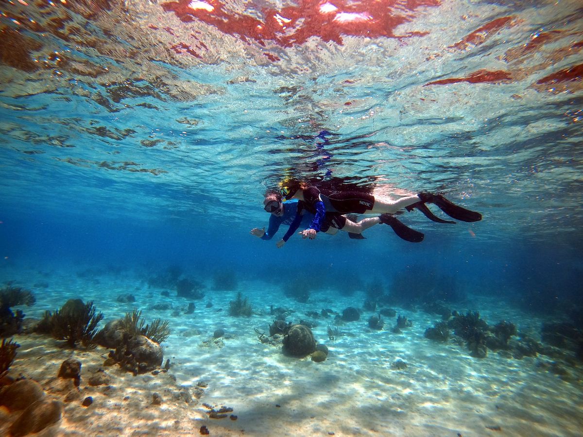 snorleling 1.jpeg