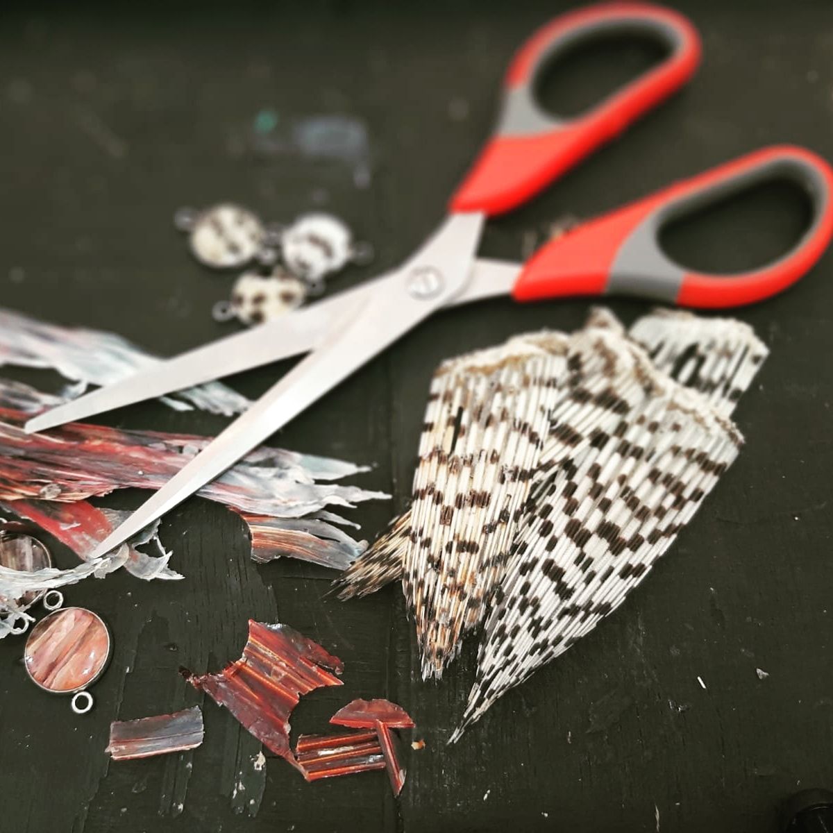 Make Lionfish Jewelry .jpg