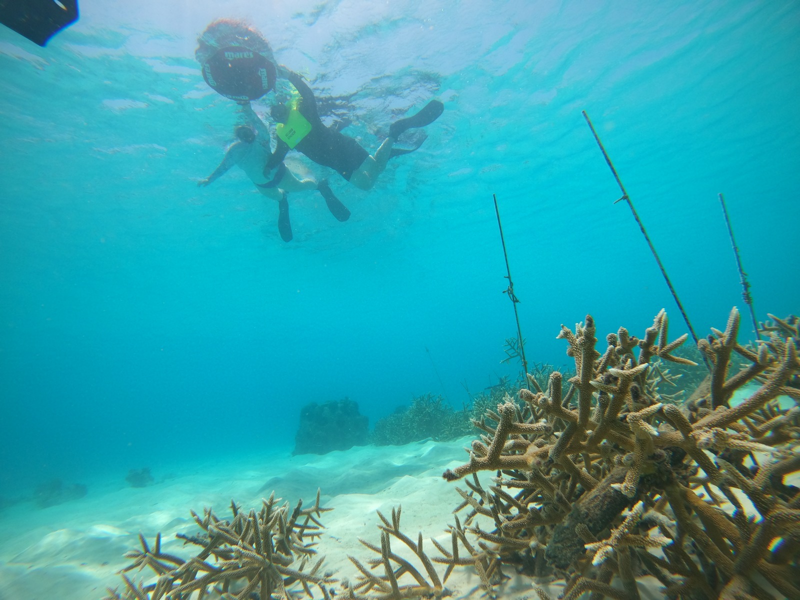 GOPR5839.JPG